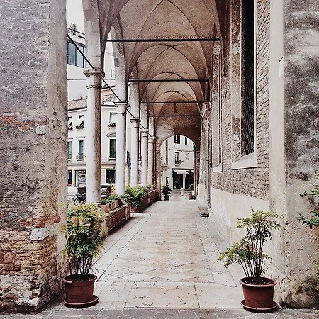 Avogari تريفيزو